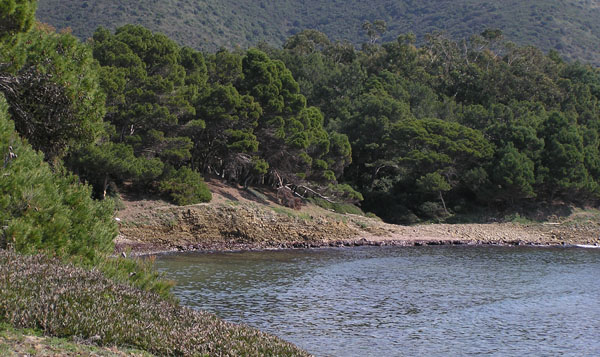 Punta Licosa, stregato dalle sirene